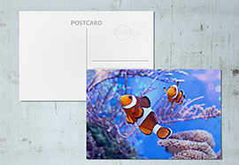 Stampa Cartoline lenticolari con effetto 3DLa tecnologia Lenticolare 3D si basa sull'elaborazione grafica di immagini attraverso un software specifico associato ad una Lastra Lenticolare
