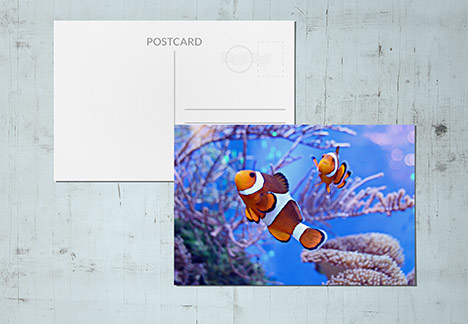 Stampa Cartoline lenticolari con effetto 3DLa tecnologia Lenticolare 3D si basa sull'elaborazione grafica di immagini attraverso un software specifico associato ad una Lastra Lenticolare